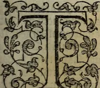 An illustration from The discouerie of witchcraft, : wherein the lewde dealing of witches and witchmongers is notablie detected, the knauerie of coniurors, the impietie of inchantors, the follie of soothsaiers, the impudent falshood of cousenors, the infidelitie of atheists, the pestilent practices of Pythonists, the curiositie of figure casters, the vanitie of dreamers, the beggerlie art of alcumystrie, the abhomination of idolatrie, the horrible art of poisoning, the vertue and power of naturall magike, and all the conueiances of legierdemaine and iuggling are deciphered: and many other things opened, which have long lien hidden, howbeit verie necessarie to be knowne. : Heerevnto is added a treatise vpon the nature and substance of spirits and diuels, & c (1584)
