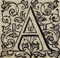 Picture 67 of 248 from The discouerie of witchcraft, : wherein the lewde dealing of witches and witchmongers is notablie detected, the knauerie of coniurors, the impietie of inchantors, the follie of soothsaiers, the impudent falshood of cousenors, the infidelitie of atheists, the pestilent practices of Pythonists, the curiositie of figure casters, the vanitie of dreamers, the beggerlie art of alcumystrie, the abhomination of idolatrie, the horrible art of poisoning, the vertue and power of naturall magike, and all the conueiances of legierdemaine and iuggling are deciphered: and many other things opened, which have long lien hidden, howbeit verie necessarie to be knowne. : Heerevnto is added a treatise vpon the nature and substance of spirits and diuels, & c (1584), leaf 149