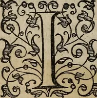 Picture 69 of 248 from The discouerie of witchcraft, : wherein the lewde dealing of witches and witchmongers is notablie detected, the knauerie of coniurors, the impietie of inchantors, the follie of soothsaiers, the impudent falshood of cousenors, the infidelitie of atheists, the pestilent practices of Pythonists, the curiositie of figure casters, the vanitie of dreamers, the beggerlie art of alcumystrie, the abhomination of idolatrie, the horrible art of poisoning, the vertue and power of naturall magike, and all the conueiances of legierdemaine and iuggling are deciphered: and many other things opened, which have long lien hidden, howbeit verie necessarie to be knowne. : Heerevnto is added a treatise vpon the nature and substance of spirits and diuels, & c (1584), leaf 153