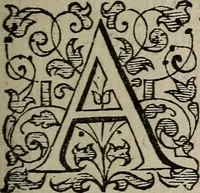An illustration from The discouerie of witchcraft, : wherein the lewde dealing of witches and witchmongers is notablie detected, the knauerie of coniurors, the impietie of inchantors, the follie of soothsaiers, the impudent falshood of cousenors, the infidelitie of atheists, the pestilent practices of Pythonists, the curiositie of figure casters, the vanitie of dreamers, the beggerlie art of alcumystrie, the abhomination of idolatrie, the horrible art of poisoning, the vertue and power of naturall magike, and all the conueiances of legierdemaine and iuggling are deciphered: and many other things opened, which have long lien hidden, howbeit verie necessarie to be knowne. : Heerevnto is added a treatise vpon the nature and substance of spirits and diuels, & c (1584)