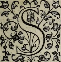 An illustration from The discouerie of witchcraft, : wherein the lewde dealing of witches and witchmongers is notablie detected, the knauerie of coniurors, the impietie of inchantors, the follie of soothsaiers, the impudent falshood of cousenors, the infidelitie of atheists, the pestilent practices of Pythonists, the curiositie of figure casters, the vanitie of dreamers, the beggerlie art of alcumystrie, the abhomination of idolatrie, the horrible art of poisoning, the vertue and power of naturall magike, and all the conueiances of legierdemaine and iuggling are deciphered: and many other things opened, which have long lien hidden, howbeit verie necessarie to be knowne. : Heerevnto is added a treatise vpon the nature and substance of spirits and diuels, & c (1584)