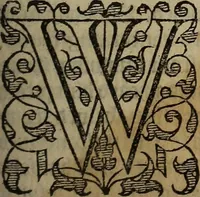 An illustration from The discouerie of witchcraft, : wherein the lewde dealing of witches and witchmongers is notablie detected, the knauerie of coniurors, the impietie of inchantors, the follie of soothsaiers, the impudent falshood of cousenors, the infidelitie of atheists, the pestilent practices of Pythonists, the curiositie of figure casters, the vanitie of dreamers, the beggerlie art of alcumystrie, the abhomination of idolatrie, the horrible art of poisoning, the vertue and power of naturall magike, and all the conueiances of legierdemaine and iuggling are deciphered: and many other things opened, which have long lien hidden, howbeit verie necessarie to be knowne. : Heerevnto is added a treatise vpon the nature and substance of spirits and diuels, & c (1584)