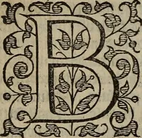 Picture 78 of 248 from The discouerie of witchcraft, : wherein the lewde dealing of witches and witchmongers is notablie detected, the knauerie of coniurors, the impietie of inchantors, the follie of soothsaiers, the impudent falshood of cousenors, the infidelitie of atheists, the pestilent practices of Pythonists, the curiositie of figure casters, the vanitie of dreamers, the beggerlie art of alcumystrie, the abhomination of idolatrie, the horrible art of poisoning, the vertue and power of naturall magike, and all the conueiances of legierdemaine and iuggling are deciphered: and many other things opened, which have long lien hidden, howbeit verie necessarie to be knowne. : Heerevnto is added a treatise vpon the nature and substance of spirits and diuels, & c (1584), leaf 169