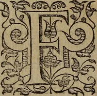 Picture 82 of 248 from The discouerie of witchcraft, : wherein the lewde dealing of witches and witchmongers is notablie detected, the knauerie of coniurors, the impietie of inchantors, the follie of soothsaiers, the impudent falshood of cousenors, the infidelitie of atheists, the pestilent practices of Pythonists, the curiositie of figure casters, the vanitie of dreamers, the beggerlie art of alcumystrie, the abhomination of idolatrie, the horrible art of poisoning, the vertue and power of naturall magike, and all the conueiances of legierdemaine and iuggling are deciphered: and many other things opened, which have long lien hidden, howbeit verie necessarie to be knowne. : Heerevnto is added a treatise vpon the nature and substance of spirits and diuels, & c (1584), leaf 173