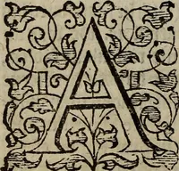 An illustration from The discouerie of witchcraft, : wherein the lewde dealing of witches and witchmongers is notablie detected, the knauerie of coniurors, the impietie of inchantors, the follie of soothsaiers, the impudent falshood of cousenors, the infidelitie of atheists, the pestilent practices of Pythonists, the curiositie of figure casters, the vanitie of dreamers, the beggerlie art of alcumystrie, the abhomination of idolatrie, the horrible art of poisoning, the vertue and power of naturall magike, and all the conueiances of legierdemaine and iuggling are deciphered: and many other things opened, which have long lien hidden, howbeit verie necessarie to be knowne. : Heerevnto is added a treatise vpon the nature and substance of spirits and diuels, & c (1584)