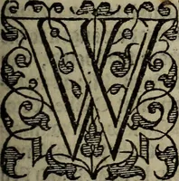 An illustration from The discouerie of witchcraft, : wherein the lewde dealing of witches and witchmongers is notablie detected, the knauerie of coniurors, the impietie of inchantors, the follie of soothsaiers, the impudent falshood of cousenors, the infidelitie of atheists, the pestilent practices of Pythonists, the curiositie of figure casters, the vanitie of dreamers, the beggerlie art of alcumystrie, the abhomination of idolatrie, the horrible art of poisoning, the vertue and power of naturall magike, and all the conueiances of legierdemaine and iuggling are deciphered: and many other things opened, which have long lien hidden, howbeit verie necessarie to be knowne. : Heerevnto is added a treatise vpon the nature and substance of spirits and diuels, & c (1584)