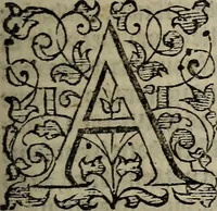 An illustration from The discouerie of witchcraft, : wherein the lewde dealing of witches and witchmongers is notablie detected, the knauerie of coniurors, the impietie of inchantors, the follie of soothsaiers, the impudent falshood of cousenors, the infidelitie of atheists, the pestilent practices of Pythonists, the curiositie of figure casters, the vanitie of dreamers, the beggerlie art of alcumystrie, the abhomination of idolatrie, the horrible art of poisoning, the vertue and power of naturall magike, and all the conueiances of legierdemaine and iuggling are deciphered: and many other things opened, which have long lien hidden, howbeit verie necessarie to be knowne. : Heerevnto is added a treatise vpon the nature and substance of spirits and diuels, & c (1584)