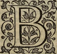 Picture 88 of 248 from The discouerie of witchcraft, : wherein the lewde dealing of witches and witchmongers is notablie detected, the knauerie of coniurors, the impietie of inchantors, the follie of soothsaiers, the impudent falshood of cousenors, the infidelitie of atheists, the pestilent practices of Pythonists, the curiositie of figure casters, the vanitie of dreamers, the beggerlie art of alcumystrie, the abhomination of idolatrie, the horrible art of poisoning, the vertue and power of naturall magike, and all the conueiances of legierdemaine and iuggling are deciphered: and many other things opened, which have long lien hidden, howbeit verie necessarie to be knowne. : Heerevnto is added a treatise vpon the nature and substance of spirits and diuels, & c (1584), leaf 185