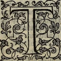 An illustration from The discouerie of witchcraft, : wherein the lewde dealing of witches and witchmongers is notablie detected, the knauerie of coniurors, the impietie of inchantors, the follie of soothsaiers, the impudent falshood of cousenors, the infidelitie of atheists, the pestilent practices of Pythonists, the curiositie of figure casters, the vanitie of dreamers, the beggerlie art of alcumystrie, the abhomination of idolatrie, the horrible art of poisoning, the vertue and power of naturall magike, and all the conueiances of legierdemaine and iuggling are deciphered: and many other things opened, which have long lien hidden, howbeit verie necessarie to be knowne. : Heerevnto is added a treatise vpon the nature and substance of spirits and diuels, & c (1584)