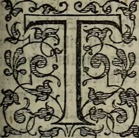 Picture 95 of 248 from The discouerie of witchcraft, : wherein the lewde dealing of witches and witchmongers is notablie detected, the knauerie of coniurors, the impietie of inchantors, the follie of soothsaiers, the impudent falshood of cousenors, the infidelitie of atheists, the pestilent practices of Pythonists, the curiositie of figure casters, the vanitie of dreamers, the beggerlie art of alcumystrie, the abhomination of idolatrie, the horrible art of poisoning, the vertue and power of naturall magike, and all the conueiances of legierdemaine and iuggling are deciphered: and many other things opened, which have long lien hidden, howbeit verie necessarie to be knowne. : Heerevnto is added a treatise vpon the nature and substance of spirits and diuels, & c (1584), leaf 198