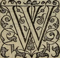 Picture 97 of 248 from The discouerie of witchcraft, : wherein the lewde dealing of witches and witchmongers is notablie detected, the knauerie of coniurors, the impietie of inchantors, the follie of soothsaiers, the impudent falshood of cousenors, the infidelitie of atheists, the pestilent practices of Pythonists, the curiositie of figure casters, the vanitie of dreamers, the beggerlie art of alcumystrie, the abhomination of idolatrie, the horrible art of poisoning, the vertue and power of naturall magike, and all the conueiances of legierdemaine and iuggling are deciphered: and many other things opened, which have long lien hidden, howbeit verie necessarie to be knowne. : Heerevnto is added a treatise vpon the nature and substance of spirits and diuels, & c (1584), leaf 201