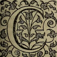 Picture 99 of 248 from The discouerie of witchcraft, : wherein the lewde dealing of witches and witchmongers is notablie detected, the knauerie of coniurors, the impietie of inchantors, the follie of soothsaiers, the impudent falshood of cousenors, the infidelitie of atheists, the pestilent practices of Pythonists, the curiositie of figure casters, the vanitie of dreamers, the beggerlie art of alcumystrie, the abhomination of idolatrie, the horrible art of poisoning, the vertue and power of naturall magike, and all the conueiances of legierdemaine and iuggling are deciphered: and many other things opened, which have long lien hidden, howbeit verie necessarie to be knowne. : Heerevnto is added a treatise vpon the nature and substance of spirits and diuels, & c (1584), leaf 206
