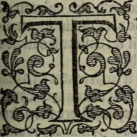 Picture 104 of 248 from The discouerie of witchcraft, : wherein the lewde dealing of witches and witchmongers is notablie detected, the knauerie of coniurors, the impietie of inchantors, the follie of soothsaiers, the impudent falshood of cousenors, the infidelitie of atheists, the pestilent practices of Pythonists, the curiositie of figure casters, the vanitie of dreamers, the beggerlie art of alcumystrie, the abhomination of idolatrie, the horrible art of poisoning, the vertue and power of naturall magike, and all the conueiances of legierdemaine and iuggling are deciphered: and many other things opened, which have long lien hidden, howbeit verie necessarie to be knowne. : Heerevnto is added a treatise vpon the nature and substance of spirits and diuels, & c (1584), leaf 216