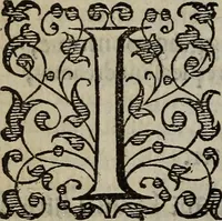 Picture 105 of 248 from The discouerie of witchcraft, : wherein the lewde dealing of witches and witchmongers is notablie detected, the knauerie of coniurors, the impietie of inchantors, the follie of soothsaiers, the impudent falshood of cousenors, the infidelitie of atheists, the pestilent practices of Pythonists, the curiositie of figure casters, the vanitie of dreamers, the beggerlie art of alcumystrie, the abhomination of idolatrie, the horrible art of poisoning, the vertue and power of naturall magike, and all the conueiances of legierdemaine and iuggling are deciphered: and many other things opened, which have long lien hidden, howbeit verie necessarie to be knowne. : Heerevnto is added a treatise vpon the nature and substance of spirits and diuels, & c (1584), leaf 217