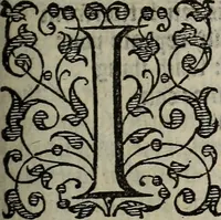 Picture 106 of 248 from The discouerie of witchcraft, : wherein the lewde dealing of witches and witchmongers is notablie detected, the knauerie of coniurors, the impietie of inchantors, the follie of soothsaiers, the impudent falshood of cousenors, the infidelitie of atheists, the pestilent practices of Pythonists, the curiositie of figure casters, the vanitie of dreamers, the beggerlie art of alcumystrie, the abhomination of idolatrie, the horrible art of poisoning, the vertue and power of naturall magike, and all the conueiances of legierdemaine and iuggling are deciphered: and many other things opened, which have long lien hidden, howbeit verie necessarie to be knowne. : Heerevnto is added a treatise vpon the nature and substance of spirits and diuels, & c (1584), leaf 220
