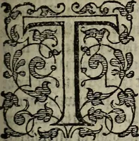 An illustration from The discouerie of witchcraft, : wherein the lewde dealing of witches and witchmongers is notablie detected, the knauerie of coniurors, the impietie of inchantors, the follie of soothsaiers, the impudent falshood of cousenors, the infidelitie of atheists, the pestilent practices of Pythonists, the curiositie of figure casters, the vanitie of dreamers, the beggerlie art of alcumystrie, the abhomination of idolatrie, the horrible art of poisoning, the vertue and power of naturall magike, and all the conueiances of legierdemaine and iuggling are deciphered: and many other things opened, which have long lien hidden, howbeit verie necessarie to be knowne. : Heerevnto is added a treatise vpon the nature and substance of spirits and diuels, & c (1584)