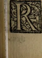 Picture 111 of 248 from The discouerie of witchcraft, : wherein the lewde dealing of witches and witchmongers is notablie detected, the knauerie of coniurors, the impietie of inchantors, the follie of soothsaiers, the impudent falshood of cousenors, the infidelitie of atheists, the pestilent practices of Pythonists, the curiositie of figure casters, the vanitie of dreamers, the beggerlie art of alcumystrie, the abhomination of idolatrie, the horrible art of poisoning, the vertue and power of naturall magike, and all the conueiances of legierdemaine and iuggling are deciphered: and many other things opened, which have long lien hidden, howbeit verie necessarie to be knowne. : Heerevnto is added a treatise vpon the nature and substance of spirits and diuels, & c (1584), leaf 226