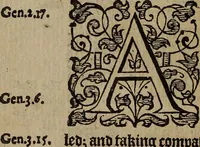 Picture 116 of 248 from The discouerie of witchcraft, : wherein the lewde dealing of witches and witchmongers is notablie detected, the knauerie of coniurors, the impietie of inchantors, the follie of soothsaiers, the impudent falshood of cousenors, the infidelitie of atheists, the pestilent practices of Pythonists, the curiositie of figure casters, the vanitie of dreamers, the beggerlie art of alcumystrie, the abhomination of idolatrie, the horrible art of poisoning, the vertue and power of naturall magike, and all the conueiances of legierdemaine and iuggling are deciphered: and many other things opened, which have long lien hidden, howbeit verie necessarie to be knowne. : Heerevnto is added a treatise vpon the nature and substance of spirits and diuels, & c (1584), leaf 233