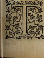 Picture 117 of 248 from The discouerie of witchcraft, : wherein the lewde dealing of witches and witchmongers is notablie detected, the knauerie of coniurors, the impietie of inchantors, the follie of soothsaiers, the impudent falshood of cousenors, the infidelitie of atheists, the pestilent practices of Pythonists, the curiositie of figure casters, the vanitie of dreamers, the beggerlie art of alcumystrie, the abhomination of idolatrie, the horrible art of poisoning, the vertue and power of naturall magike, and all the conueiances of legierdemaine and iuggling are deciphered: and many other things opened, which have long lien hidden, howbeit verie necessarie to be knowne. : Heerevnto is added a treatise vpon the nature and substance of spirits and diuels, & c (1584), leaf 234