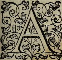 Picture 118 of 248 from The discouerie of witchcraft, : wherein the lewde dealing of witches and witchmongers is notablie detected, the knauerie of coniurors, the impietie of inchantors, the follie of soothsaiers, the impudent falshood of cousenors, the infidelitie of atheists, the pestilent practices of Pythonists, the curiositie of figure casters, the vanitie of dreamers, the beggerlie art of alcumystrie, the abhomination of idolatrie, the horrible art of poisoning, the vertue and power of naturall magike, and all the conueiances of legierdemaine and iuggling are deciphered: and many other things opened, which have long lien hidden, howbeit verie necessarie to be knowne. : Heerevnto is added a treatise vpon the nature and substance of spirits and diuels, & c (1584), leaf 236