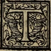 Picture 125 of 248 from The discouerie of witchcraft, : wherein the lewde dealing of witches and witchmongers is notablie detected, the knauerie of coniurors, the impietie of inchantors, the follie of soothsaiers, the impudent falshood of cousenors, the infidelitie of atheists, the pestilent practices of Pythonists, the curiositie of figure casters, the vanitie of dreamers, the beggerlie art of alcumystrie, the abhomination of idolatrie, the horrible art of poisoning, the vertue and power of naturall magike, and all the conueiances of legierdemaine and iuggling are deciphered: and many other things opened, which have long lien hidden, howbeit verie necessarie to be knowne. : Heerevnto is added a treatise vpon the nature and substance of spirits and diuels, & c (1584), leaf 251