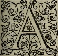 Picture 126 of 248 from The discouerie of witchcraft, : wherein the lewde dealing of witches and witchmongers is notablie detected, the knauerie of coniurors, the impietie of inchantors, the follie of soothsaiers, the impudent falshood of cousenors, the infidelitie of atheists, the pestilent practices of Pythonists, the curiositie of figure casters, the vanitie of dreamers, the beggerlie art of alcumystrie, the abhomination of idolatrie, the horrible art of poisoning, the vertue and power of naturall magike, and all the conueiances of legierdemaine and iuggling are deciphered: and many other things opened, which have long lien hidden, howbeit verie necessarie to be knowne. : Heerevnto is added a treatise vpon the nature and substance of spirits and diuels, & c (1584), leaf 254