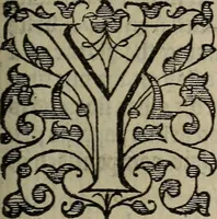 An illustration from The discouerie of witchcraft, : wherein the lewde dealing of witches and witchmongers is notablie detected, the knauerie of coniurors, the impietie of inchantors, the follie of soothsaiers, the impudent falshood of cousenors, the infidelitie of atheists, the pestilent practices of Pythonists, the curiositie of figure casters, the vanitie of dreamers, the beggerlie art of alcumystrie, the abhomination of idolatrie, the horrible art of poisoning, the vertue and power of naturall magike, and all the conueiances of legierdemaine and iuggling are deciphered: and many other things opened, which have long lien hidden, howbeit verie necessarie to be knowne. : Heerevnto is added a treatise vpon the nature and substance of spirits and diuels, & c (1584)