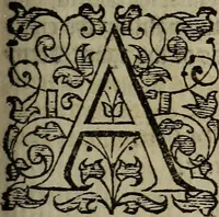 An illustration from The discouerie of witchcraft, : wherein the lewde dealing of witches and witchmongers is notablie detected, the knauerie of coniurors, the impietie of inchantors, the follie of soothsaiers, the impudent falshood of cousenors, the infidelitie of atheists, the pestilent practices of Pythonists, the curiositie of figure casters, the vanitie of dreamers, the beggerlie art of alcumystrie, the abhomination of idolatrie, the horrible art of poisoning, the vertue and power of naturall magike, and all the conueiances of legierdemaine and iuggling are deciphered: and many other things opened, which have long lien hidden, howbeit verie necessarie to be knowne. : Heerevnto is added a treatise vpon the nature and substance of spirits and diuels, & c (1584)