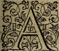 An illustration from The discouerie of witchcraft, : wherein the lewde dealing of witches and witchmongers is notablie detected, the knauerie of coniurors, the impietie of inchantors, the follie of soothsaiers, the impudent falshood of cousenors, the infidelitie of atheists, the pestilent practices of Pythonists, the curiositie of figure casters, the vanitie of dreamers, the beggerlie art of alcumystrie, the abhomination of idolatrie, the horrible art of poisoning, the vertue and power of naturall magike, and all the conueiances of legierdemaine and iuggling are deciphered: and many other things opened, which have long lien hidden, howbeit verie necessarie to be knowne. : Heerevnto is added a treatise vpon the nature and substance of spirits and diuels, & c (1584)