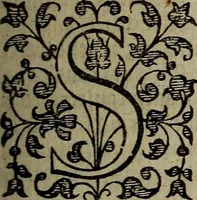Picture 135 of 248 from The discouerie of witchcraft, : wherein the lewde dealing of witches and witchmongers is notablie detected, the knauerie of coniurors, the impietie of inchantors, the follie of soothsaiers, the impudent falshood of cousenors, the infidelitie of atheists, the pestilent practices of Pythonists, the curiositie of figure casters, the vanitie of dreamers, the beggerlie art of alcumystrie, the abhomination of idolatrie, the horrible art of poisoning, the vertue and power of naturall magike, and all the conueiances of legierdemaine and iuggling are deciphered: and many other things opened, which have long lien hidden, howbeit verie necessarie to be knowne. : Heerevnto is added a treatise vpon the nature and substance of spirits and diuels, & c (1584), leaf 310