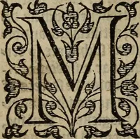 An illustration from The discouerie of witchcraft, : wherein the lewde dealing of witches and witchmongers is notablie detected, the knauerie of coniurors, the impietie of inchantors, the follie of soothsaiers, the impudent falshood of cousenors, the infidelitie of atheists, the pestilent practices of Pythonists, the curiositie of figure casters, the vanitie of dreamers, the beggerlie art of alcumystrie, the abhomination of idolatrie, the horrible art of poisoning, the vertue and power of naturall magike, and all the conueiances of legierdemaine and iuggling are deciphered: and many other things opened, which have long lien hidden, howbeit verie necessarie to be knowne. : Heerevnto is added a treatise vpon the nature and substance of spirits and diuels, & c (1584)