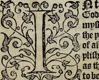 An illustration from The discouerie of witchcraft, : wherein the lewde dealing of witches and witchmongers is notablie detected, the knauerie of coniurors, the impietie of inchantors, the follie of soothsaiers, the impudent falshood of cousenors, the infidelitie of atheists, the pestilent practices of Pythonists, the curiositie of figure casters, the vanitie of dreamers, the beggerlie art of alcumystrie, the abhomination of idolatrie, the horrible art of poisoning, the vertue and power of naturall magike, and all the conueiances of legierdemaine and iuggling are deciphered: and many other things opened, which have long lien hidden, howbeit verie necessarie to be knowne. : Heerevnto is added a treatise vpon the nature and substance of spirits and diuels, & c (1584)