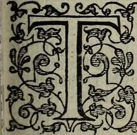 Picture 141 of 248 from The discouerie of witchcraft, : wherein the lewde dealing of witches and witchmongers is notablie detected, the knauerie of coniurors, the impietie of inchantors, the follie of soothsaiers, the impudent falshood of cousenors, the infidelitie of atheists, the pestilent practices of Pythonists, the curiositie of figure casters, the vanitie of dreamers, the beggerlie art of alcumystrie, the abhomination of idolatrie, the horrible art of poisoning, the vertue and power of naturall magike, and all the conueiances of legierdemaine and iuggling are deciphered: and many other things opened, which have long lien hidden, howbeit verie necessarie to be knowne. : Heerevnto is added a treatise vpon the nature and substance of spirits and diuels, & c (1584), leaf 324
