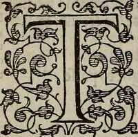 Picture 142 of 248 from The discouerie of witchcraft, : wherein the lewde dealing of witches and witchmongers is notablie detected, the knauerie of coniurors, the impietie of inchantors, the follie of soothsaiers, the impudent falshood of cousenors, the infidelitie of atheists, the pestilent practices of Pythonists, the curiositie of figure casters, the vanitie of dreamers, the beggerlie art of alcumystrie, the abhomination of idolatrie, the horrible art of poisoning, the vertue and power of naturall magike, and all the conueiances of legierdemaine and iuggling are deciphered: and many other things opened, which have long lien hidden, howbeit verie necessarie to be knowne. : Heerevnto is added a treatise vpon the nature and substance of spirits and diuels, & c (1584), leaf 325