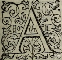 An illustration from The discouerie of witchcraft, : wherein the lewde dealing of witches and witchmongers is notablie detected, the knauerie of coniurors, the impietie of inchantors, the follie of soothsaiers, the impudent falshood of cousenors, the infidelitie of atheists, the pestilent practices of Pythonists, the curiositie of figure casters, the vanitie of dreamers, the beggerlie art of alcumystrie, the abhomination of idolatrie, the horrible art of poisoning, the vertue and power of naturall magike, and all the conueiances of legierdemaine and iuggling are deciphered: and many other things opened, which have long lien hidden, howbeit verie necessarie to be knowne. : Heerevnto is added a treatise vpon the nature and substance of spirits and diuels, & c (1584)