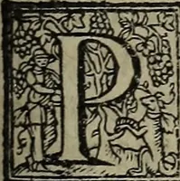 An illustration from The discouerie of witchcraft, : wherein the lewde dealing of witches and witchmongers is notablie detected, the knauerie of coniurors, the impietie of inchantors, the follie of soothsaiers, the impudent falshood of cousenors, the infidelitie of atheists, the pestilent practices of Pythonists, the curiositie of figure casters, the vanitie of dreamers, the beggerlie art of alcumystrie, the abhomination of idolatrie, the horrible art of poisoning, the vertue and power of naturall magike, and all the conueiances of legierdemaine and iuggling are deciphered: and many other things opened, which have long lien hidden, howbeit verie necessarie to be knowne. : Heerevnto is added a treatise vpon the nature and substance of spirits and diuels, & c (1584)