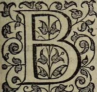 Picture 148 of 248 from The discouerie of witchcraft, : wherein the lewde dealing of witches and witchmongers is notablie detected, the knauerie of coniurors, the impietie of inchantors, the follie of soothsaiers, the impudent falshood of cousenors, the infidelitie of atheists, the pestilent practices of Pythonists, the curiositie of figure casters, the vanitie of dreamers, the beggerlie art of alcumystrie, the abhomination of idolatrie, the horrible art of poisoning, the vertue and power of naturall magike, and all the conueiances of legierdemaine and iuggling are deciphered: and many other things opened, which have long lien hidden, howbeit verie necessarie to be knowne. : Heerevnto is added a treatise vpon the nature and substance of spirits and diuels, & c (1584), leaf 344