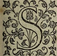 An illustration from The discouerie of witchcraft, : wherein the lewde dealing of witches and witchmongers is notablie detected, the knauerie of coniurors, the impietie of inchantors, the follie of soothsaiers, the impudent falshood of cousenors, the infidelitie of atheists, the pestilent practices of Pythonists, the curiositie of figure casters, the vanitie of dreamers, the beggerlie art of alcumystrie, the abhomination of idolatrie, the horrible art of poisoning, the vertue and power of naturall magike, and all the conueiances of legierdemaine and iuggling are deciphered: and many other things opened, which have long lien hidden, howbeit verie necessarie to be knowne. : Heerevnto is added a treatise vpon the nature and substance of spirits and diuels, & c (1584)