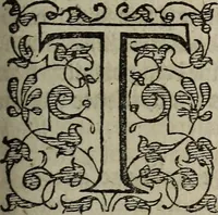An illustration from The discouerie of witchcraft, : wherein the lewde dealing of witches and witchmongers is notablie detected, the knauerie of coniurors, the impietie of inchantors, the follie of soothsaiers, the impudent falshood of cousenors, the infidelitie of atheists, the pestilent practices of Pythonists, the curiositie of figure casters, the vanitie of dreamers, the beggerlie art of alcumystrie, the abhomination of idolatrie, the horrible art of poisoning, the vertue and power of naturall magike, and all the conueiances of legierdemaine and iuggling are deciphered: and many other things opened, which have long lien hidden, howbeit verie necessarie to be knowne. : Heerevnto is added a treatise vpon the nature and substance of spirits and diuels, & c (1584)