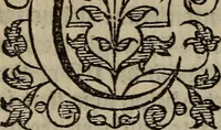 Picture 154 of 248 from The discouerie of witchcraft, : wherein the lewde dealing of witches and witchmongers is notablie detected, the knauerie of coniurors, the impietie of inchantors, the follie of soothsaiers, the impudent falshood of cousenors, the infidelitie of atheists, the pestilent practices of Pythonists, the curiositie of figure casters, the vanitie of dreamers, the beggerlie art of alcumystrie, the abhomination of idolatrie, the horrible art of poisoning, the vertue and power of naturall magike, and all the conueiances of legierdemaine and iuggling are deciphered: and many other things opened, which have long lien hidden, howbeit verie necessarie to be knowne. : Heerevnto is added a treatise vpon the nature and substance of spirits and diuels, & c (1584), leaf 355