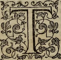Picture 158 of 248 from The discouerie of witchcraft, : wherein the lewde dealing of witches and witchmongers is notablie detected, the knauerie of coniurors, the impietie of inchantors, the follie of soothsaiers, the impudent falshood of cousenors, the infidelitie of atheists, the pestilent practices of Pythonists, the curiositie of figure casters, the vanitie of dreamers, the beggerlie art of alcumystrie, the abhomination of idolatrie, the horrible art of poisoning, the vertue and power of naturall magike, and all the conueiances of legierdemaine and iuggling are deciphered: and many other things opened, which have long lien hidden, howbeit verie necessarie to be knowne. : Heerevnto is added a treatise vpon the nature and substance of spirits and diuels, & c (1584), leaf 369