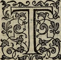 An illustration from The discouerie of witchcraft, : wherein the lewde dealing of witches and witchmongers is notablie detected, the knauerie of coniurors, the impietie of inchantors, the follie of soothsaiers, the impudent falshood of cousenors, the infidelitie of atheists, the pestilent practices of Pythonists, the curiositie of figure casters, the vanitie of dreamers, the beggerlie art of alcumystrie, the abhomination of idolatrie, the horrible art of poisoning, the vertue and power of naturall magike, and all the conueiances of legierdemaine and iuggling are deciphered: and many other things opened, which have long lien hidden, howbeit verie necessarie to be knowne. : Heerevnto is added a treatise vpon the nature and substance of spirits and diuels, & c (1584)