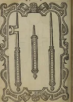 Picture 165 of 248 from The discouerie of witchcraft, : wherein the lewde dealing of witches and witchmongers is notablie detected, the knauerie of coniurors, the impietie of inchantors, the follie of soothsaiers, the impudent falshood of cousenors, the infidelitie of atheists, the pestilent practices of Pythonists, the curiositie of figure casters, the vanitie of dreamers, the beggerlie art of alcumystrie, the abhomination of idolatrie, the horrible art of poisoning, the vertue and power of naturall magike, and all the conueiances of legierdemaine and iuggling are deciphered: and many other things opened, which have long lien hidden, howbeit verie necessarie to be knowne. : Heerevnto is added a treatise vpon the nature and substance of spirits and diuels, & c (1584), leaf 387