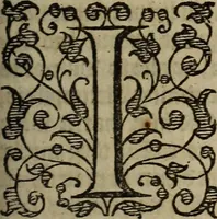 Picture 169 of 248 from The discouerie of witchcraft, : wherein the lewde dealing of witches and witchmongers is notablie detected, the knauerie of coniurors, the impietie of inchantors, the follie of soothsaiers, the impudent falshood of cousenors, the infidelitie of atheists, the pestilent practices of Pythonists, the curiositie of figure casters, the vanitie of dreamers, the beggerlie art of alcumystrie, the abhomination of idolatrie, the horrible art of poisoning, the vertue and power of naturall magike, and all the conueiances of legierdemaine and iuggling are deciphered: and many other things opened, which have long lien hidden, howbeit verie necessarie to be knowne. : Heerevnto is added a treatise vpon the nature and substance of spirits and diuels, & c (1584), leaf 394