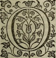 Picture 8 of 248 from The discouerie of witchcraft, : wherein the lewde dealing of witches and witchmongers is notablie detected, the knauerie of coniurors, the impietie of inchantors, the follie of soothsaiers, the impudent falshood of cousenors, the infidelitie of atheists, the pestilent practices of Pythonists, the curiositie of figure casters, the vanitie of dreamers, the beggerlie art of alcumystrie, the abhomination of idolatrie, the horrible art of poisoning, the vertue and power of naturall magike, and all the conueiances of legierdemaine and iuggling are deciphered: and many other things opened, which have long lien hidden, howbeit verie necessarie to be knowne. : Heerevnto is added a treatise vpon the nature and substance of spirits and diuels, & c (1584), leaf 40