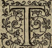 Picture 173 of 248 from The discouerie of witchcraft, : wherein the lewde dealing of witches and witchmongers is notablie detected, the knauerie of coniurors, the impietie of inchantors, the follie of soothsaiers, the impudent falshood of cousenors, the infidelitie of atheists, the pestilent practices of Pythonists, the curiositie of figure casters, the vanitie of dreamers, the beggerlie art of alcumystrie, the abhomination of idolatrie, the horrible art of poisoning, the vertue and power of naturall magike, and all the conueiances of legierdemaine and iuggling are deciphered: and many other things opened, which have long lien hidden, howbeit verie necessarie to be knowne. : Heerevnto is added a treatise vpon the nature and substance of spirits and diuels, & c (1584), leaf 409