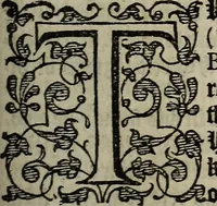 An illustration from The discouerie of witchcraft, : wherein the lewde dealing of witches and witchmongers is notablie detected, the knauerie of coniurors, the impietie of inchantors, the follie of soothsaiers, the impudent falshood of cousenors, the infidelitie of atheists, the pestilent practices of Pythonists, the curiositie of figure casters, the vanitie of dreamers, the beggerlie art of alcumystrie, the abhomination of idolatrie, the horrible art of poisoning, the vertue and power of naturall magike, and all the conueiances of legierdemaine and iuggling are deciphered: and many other things opened, which have long lien hidden, howbeit verie necessarie to be knowne. : Heerevnto is added a treatise vpon the nature and substance of spirits and diuels, & c (1584)