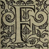 An illustration from The discouerie of witchcraft, : wherein the lewde dealing of witches and witchmongers is notablie detected, the knauerie of coniurors, the impietie of inchantors, the follie of soothsaiers, the impudent falshood of cousenors, the infidelitie of atheists, the pestilent practices of Pythonists, the curiositie of figure casters, the vanitie of dreamers, the beggerlie art of alcumystrie, the abhomination of idolatrie, the horrible art of poisoning, the vertue and power of naturall magike, and all the conueiances of legierdemaine and iuggling are deciphered: and many other things opened, which have long lien hidden, howbeit verie necessarie to be knowne. : Heerevnto is added a treatise vpon the nature and substance of spirits and diuels, & c (1584)