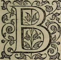 Picture 10 of 248 from The discouerie of witchcraft, : wherein the lewde dealing of witches and witchmongers is notablie detected, the knauerie of coniurors, the impietie of inchantors, the follie of soothsaiers, the impudent falshood of cousenors, the infidelitie of atheists, the pestilent practices of Pythonists, the curiositie of figure casters, the vanitie of dreamers, the beggerlie art of alcumystrie, the abhomination of idolatrie, the horrible art of poisoning, the vertue and power of naturall magike, and all the conueiances of legierdemaine and iuggling are deciphered: and many other things opened, which have long lien hidden, howbeit verie necessarie to be knowne. : Heerevnto is added a treatise vpon the nature and substance of spirits and diuels, & c (1584), leaf 44