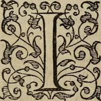 An illustration from The discouerie of witchcraft, : wherein the lewde dealing of witches and witchmongers is notablie detected, the knauerie of coniurors, the impietie of inchantors, the follie of soothsaiers, the impudent falshood of cousenors, the infidelitie of atheists, the pestilent practices of Pythonists, the curiositie of figure casters, the vanitie of dreamers, the beggerlie art of alcumystrie, the abhomination of idolatrie, the horrible art of poisoning, the vertue and power of naturall magike, and all the conueiances of legierdemaine and iuggling are deciphered: and many other things opened, which have long lien hidden, howbeit verie necessarie to be knowne. : Heerevnto is added a treatise vpon the nature and substance of spirits and diuels, & c (1584)